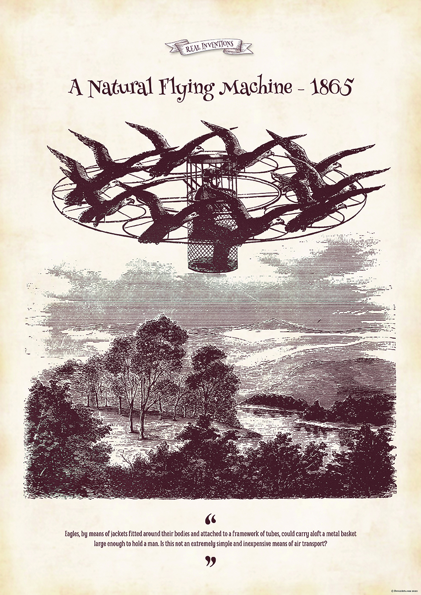 A Natural Flying Machine | Wall Art : Quotations, Love, Humourous ...